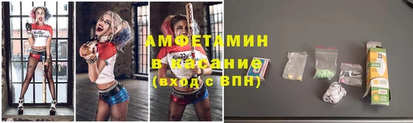 ECSTASY Алзамай