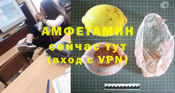 стаф Аркадак