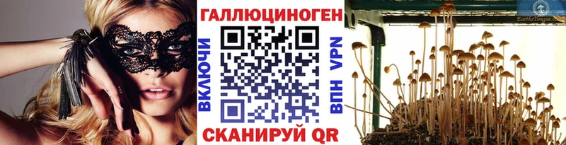 Галлюциногенные грибы Psilocybe Купить закладки Володарск